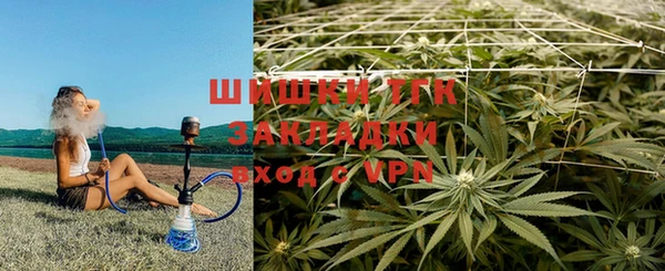 круглые Белокуриха
