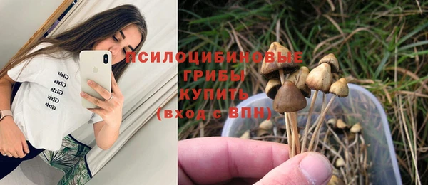 круглые Белокуриха