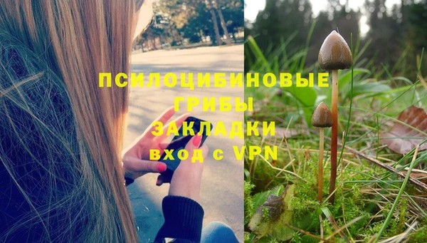 круглые Белокуриха